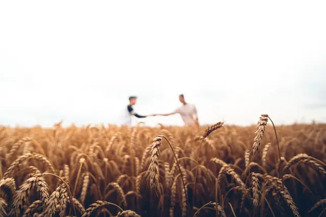 Agro-industrie